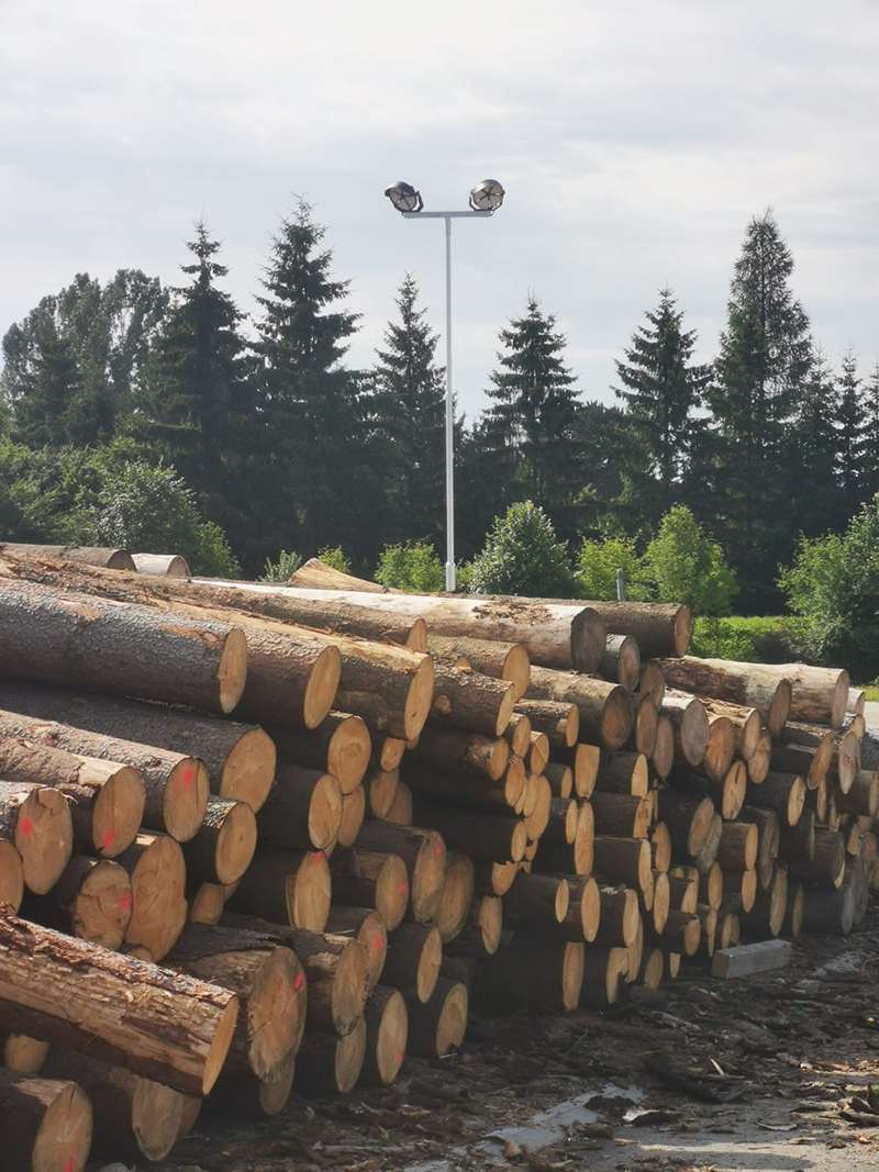 F&aacute;brica de procesamiento de madera-4